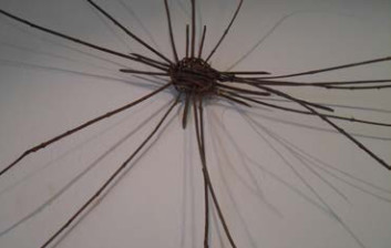 Το ξεκίνημα ενός καλαθιού